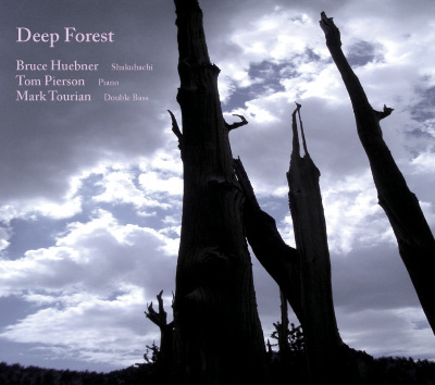 Bruce HuebnerhDeep Foresth